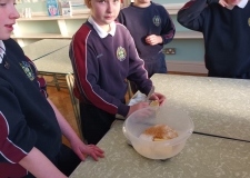 57e20bc8-0d8e-4299-adb0-eef212e81654