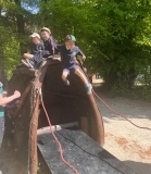 IMG-20230518-WA0047