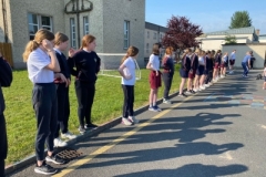 ee8001cb-b6a4-472e-87e3-97aa3d943236