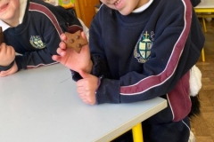 IMG-20211210-WA0002