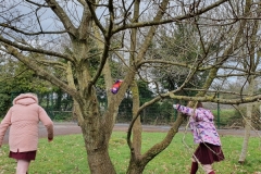 IMG-20210325-WA0016-1