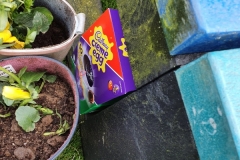 IMG-20210325-WA0022-1