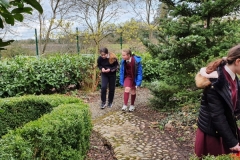 IMG-20210325-WA0026-1