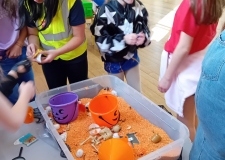 1_74e20070-bbb3-4a2e-8a69-c6098dc3cb40