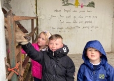 22b26670-1119-4f7f-aca5-b7e2ec01e976