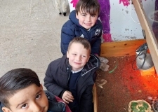 45beb83e-5dba-4752-8e84-3c67a577cad3