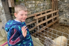 acc544ef-e3cd-4310-b6e6-52747125dbc3-1