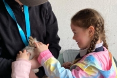 b6e7c384-4e9f-4ef9-b5ba-5582884f69f6-1