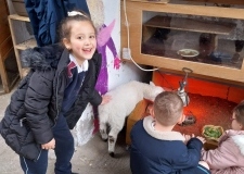 ef017d97-b468-445c-b419-92c9cd796e2a-1