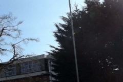 Raising the Flag 7 800