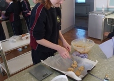 08a445a1-f73d-42b5-846a-9da0a41029ef