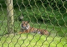IMG-20230517-WA0051