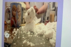 IMG-20210129-WA0008